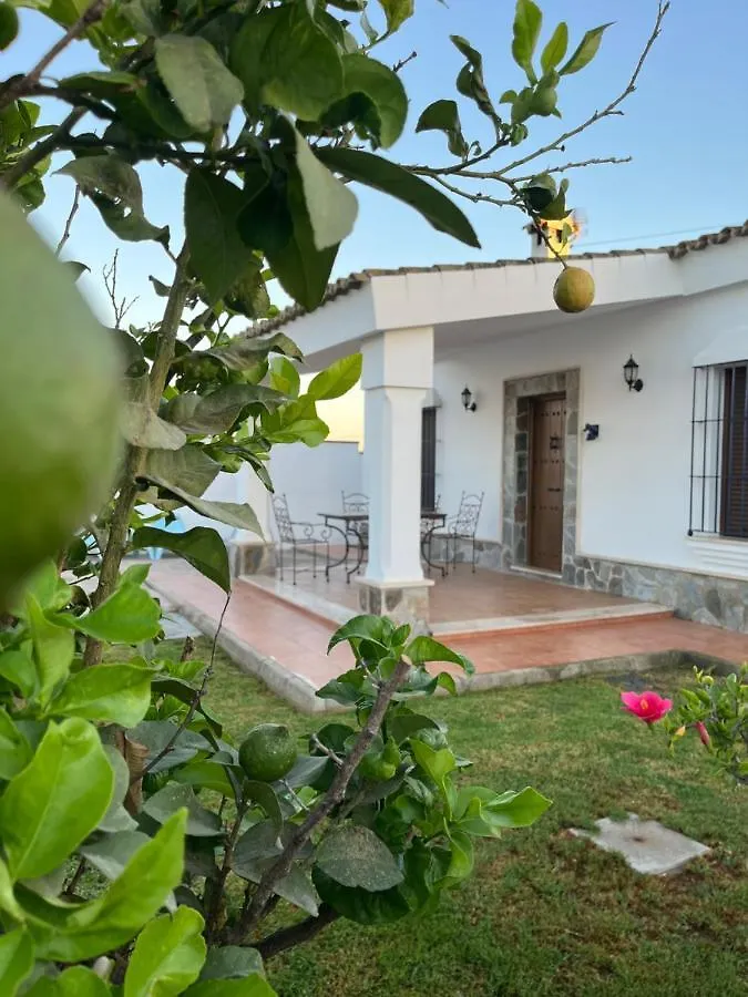Chalet La Primera Piedra Conil De La Frontera Spain